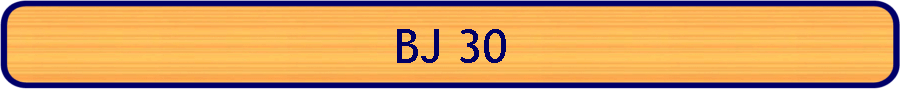 BJ 30