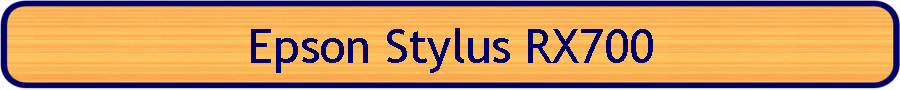 Epson Stylus RX700